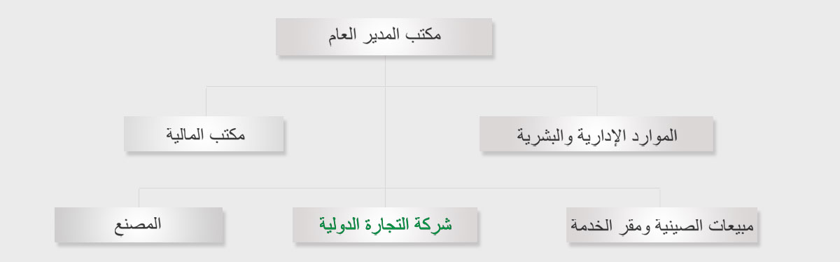 Hanthing Organization Structure