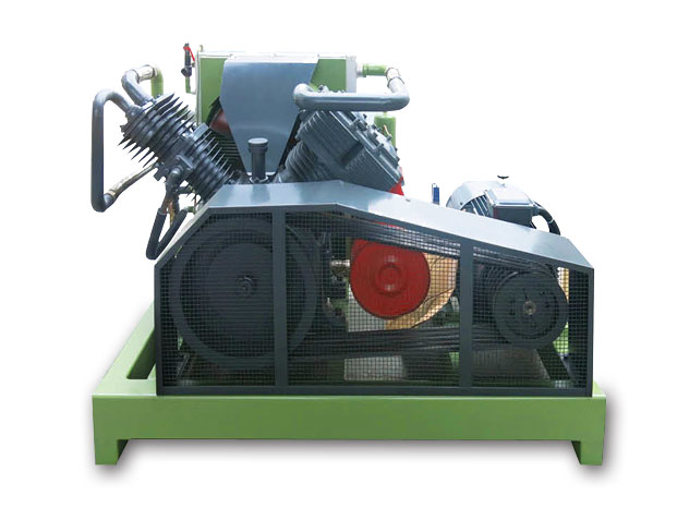 DGW Oil Free Piston Air Compressor