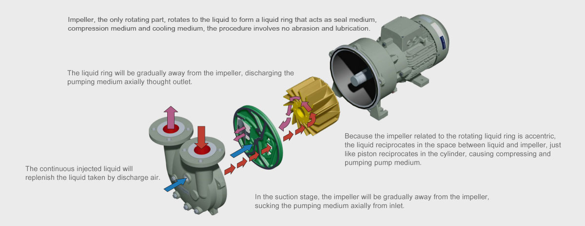 2BV Series Liquid Ring Vacuum Pump