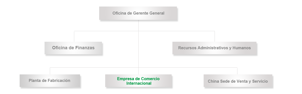 Hanthing Organization Structure