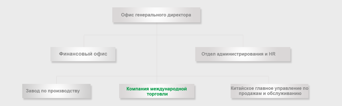 Hanthing Organization Structure